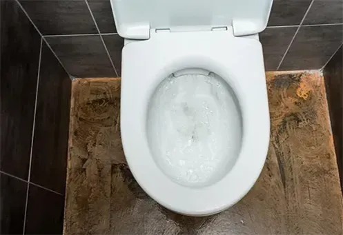 Desentupidora de Vaso Sanitário Urgente no Parque das Árvores